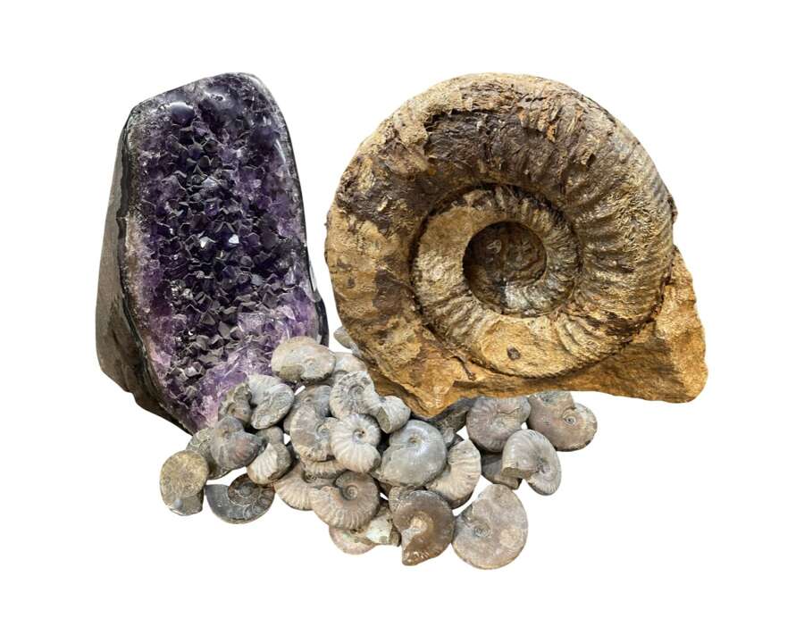 Natural History (Fossils & Crystals)