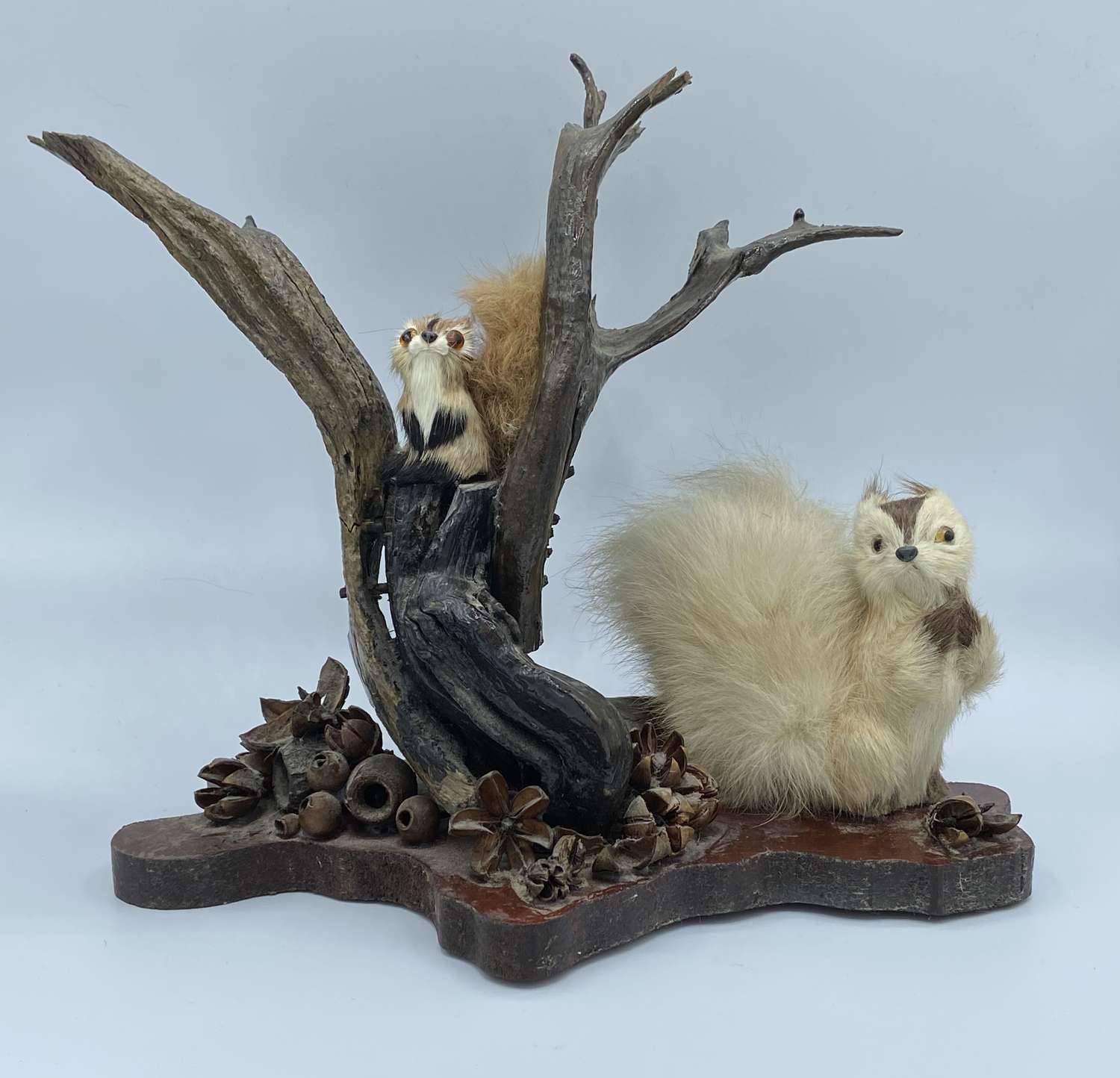 Antique Early 1900s Taxidermy Real Fur Minature Squirrels On Base