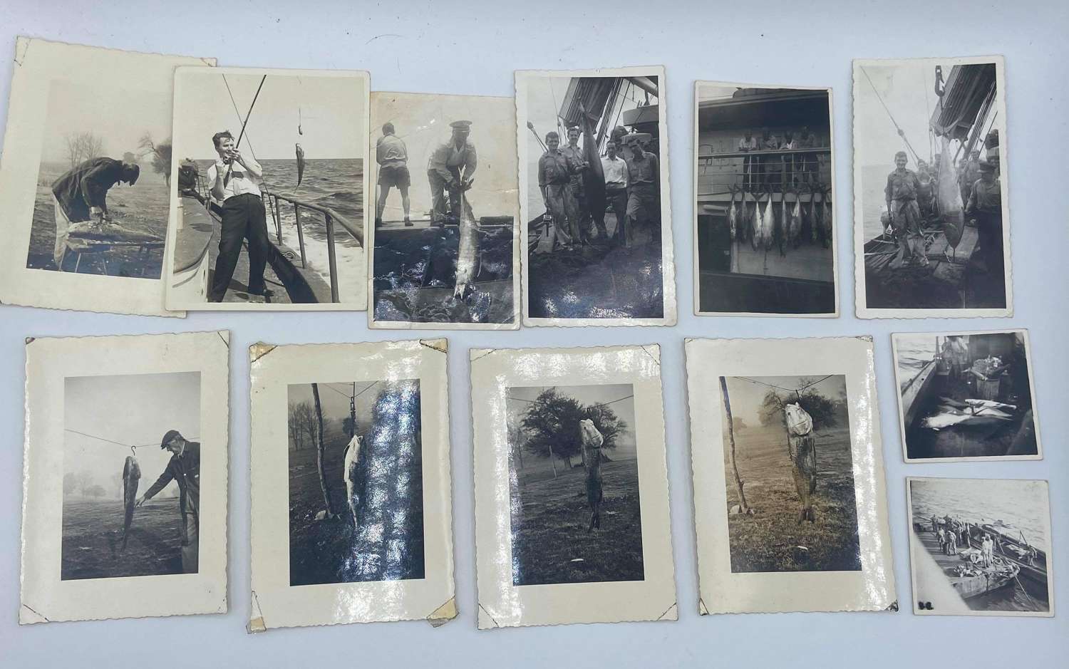 WW2 United States Navy Photographs Catching Tuna
