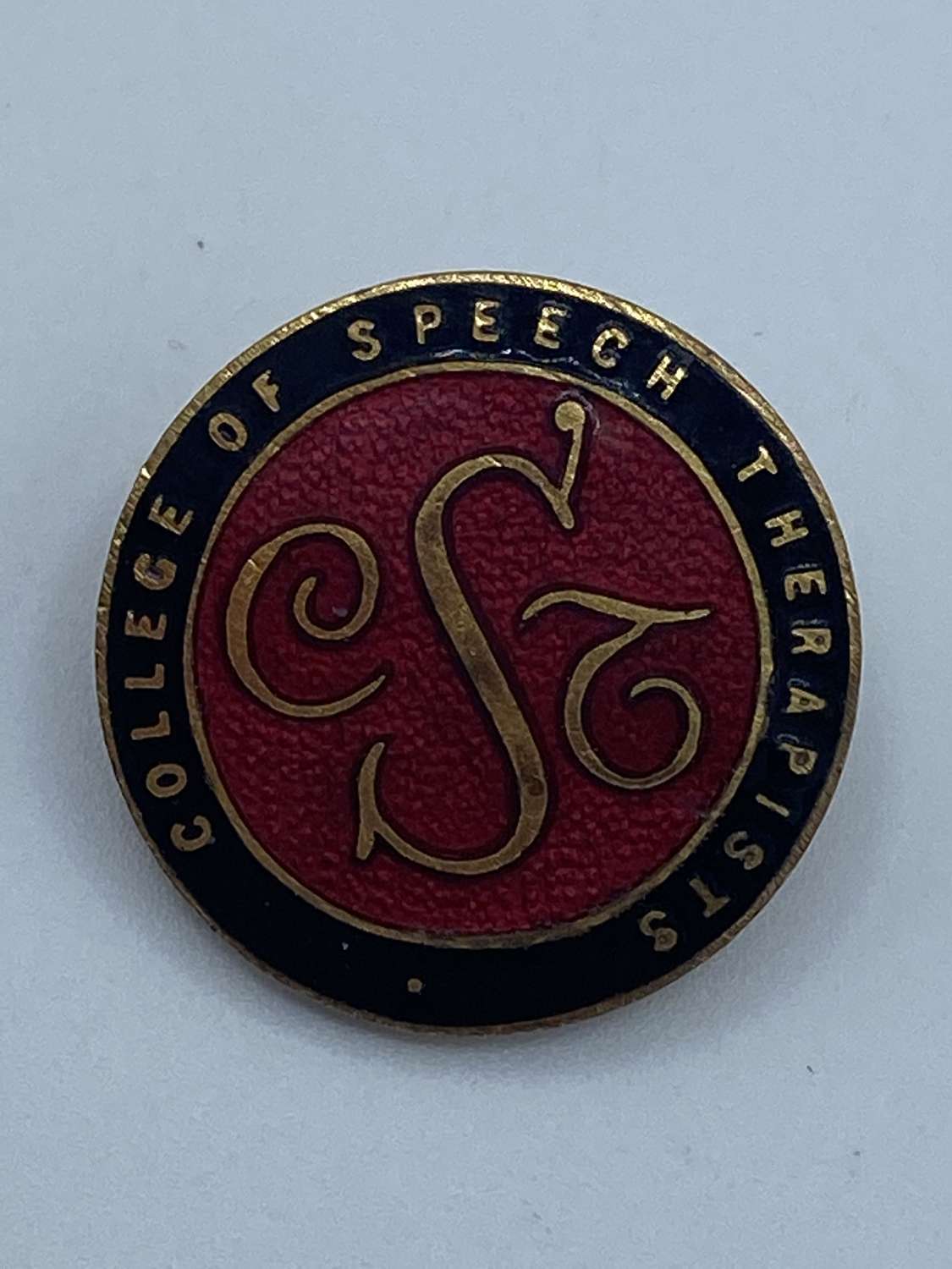 WW2 1945 Royal College of Speech Therapists Badge Issue No 629