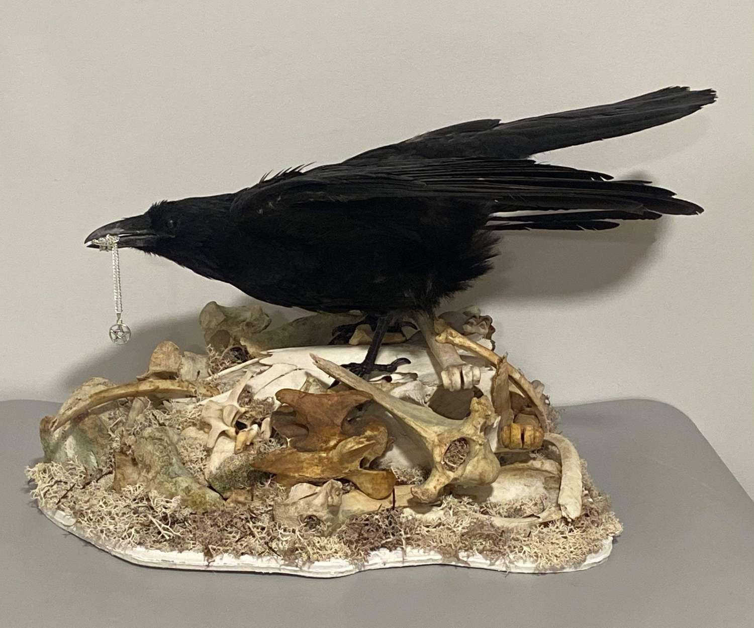 Vintage Gothic Taxidermy Crow Towering Over A Mountain Of Sheep Bones