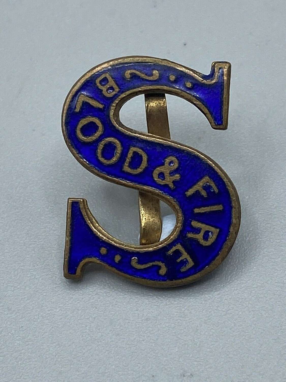 WW1 British Salvation Army Blood And Soil Blue Enamel S Members Badge