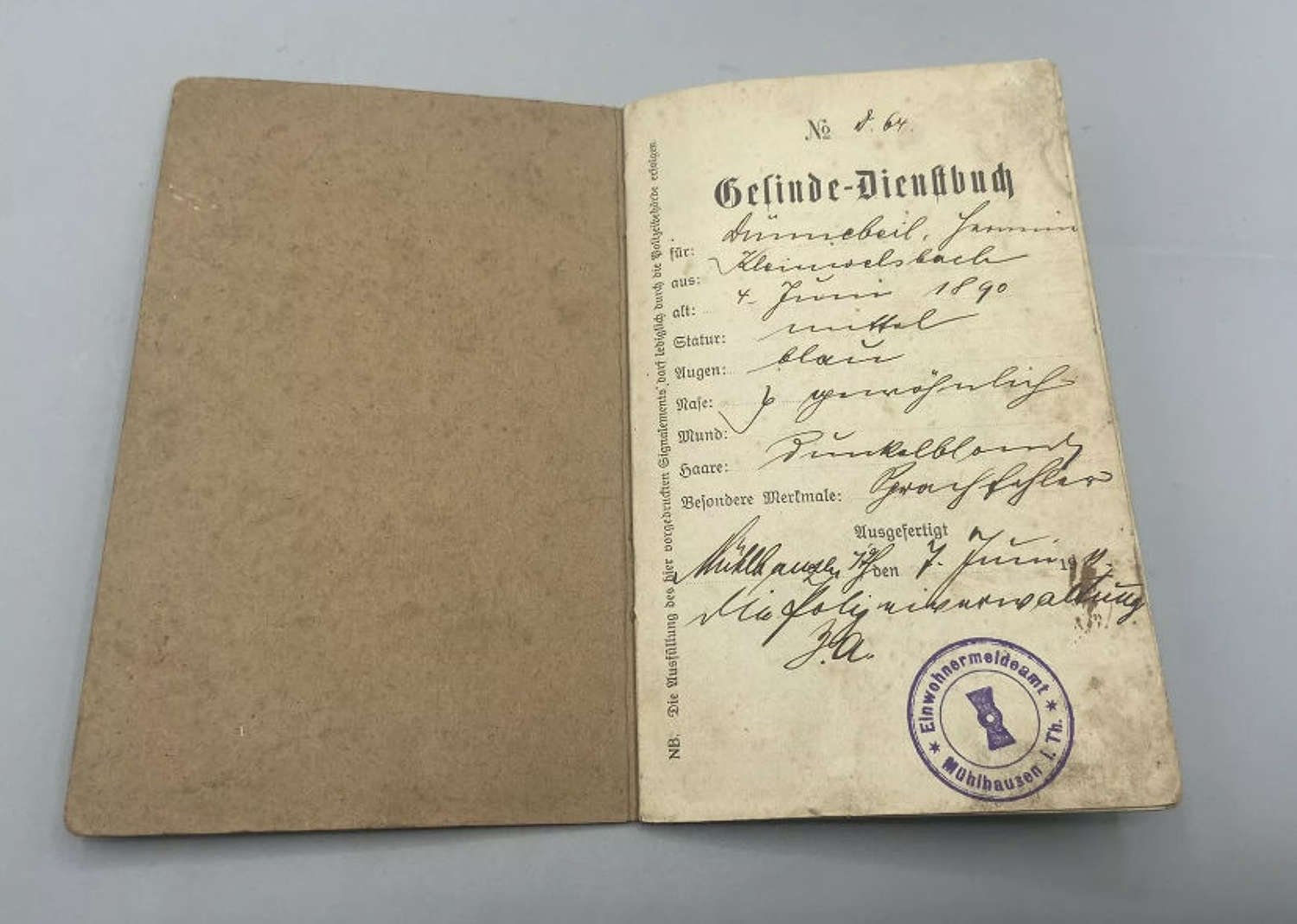 Victorian German Servant Service Order Gesindedienstbuch Work Book