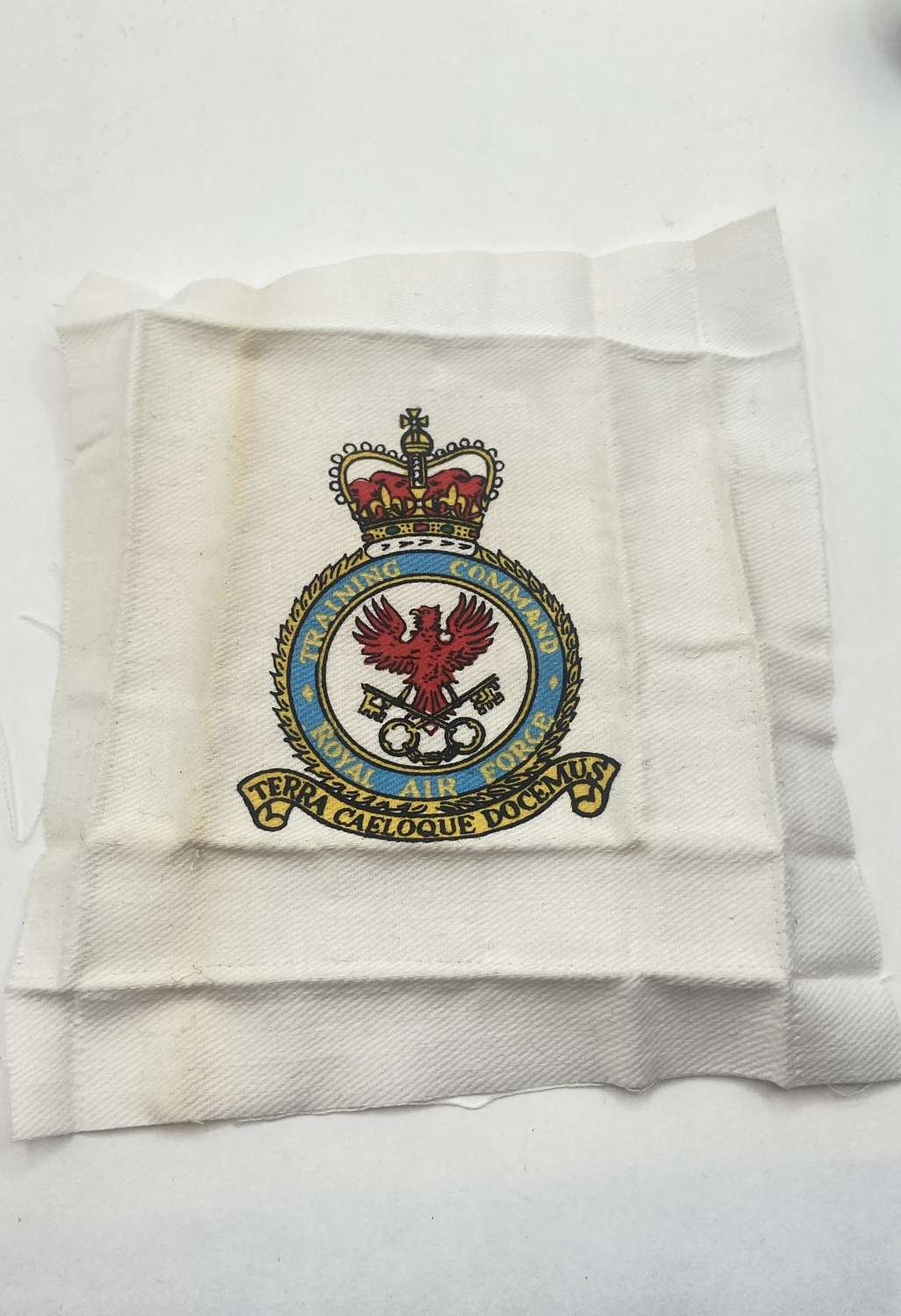 Post WW2 RAF Royal Air Force Training Command Printed Patch