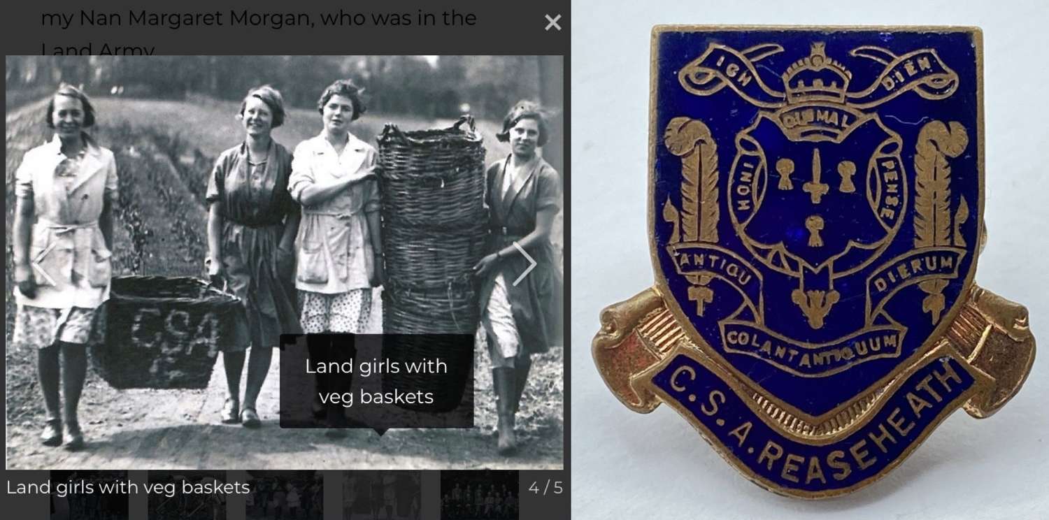 WW2 Woman’s Land Army College Cheshire School of Agriculture Badge