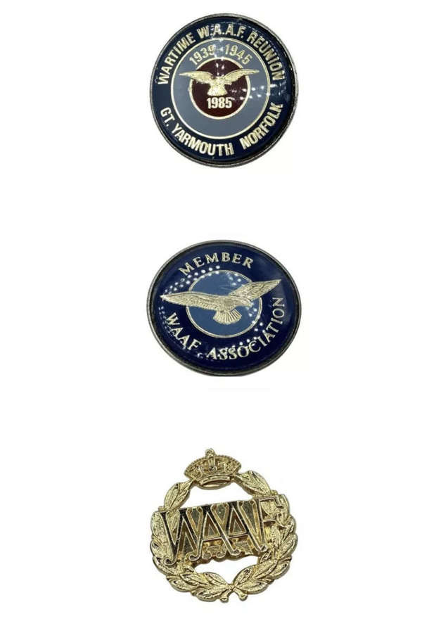 Women's Auxiliary Air Force W.A.A.F Wartime Reunion Badges