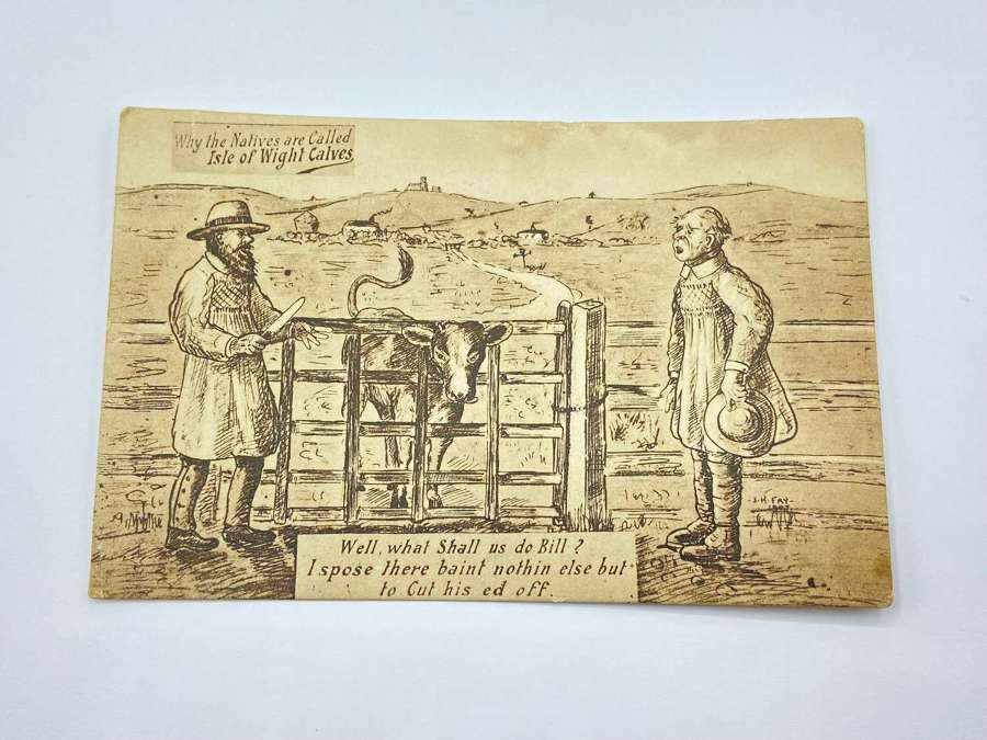 Antique “Why The Natives Are Called Isle Of Wight Calves” Postcard