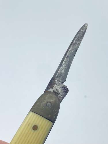 Antique 1920s Bone Handle Pocket Knife