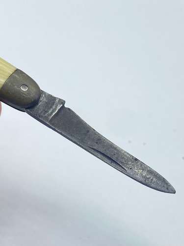 Antique 1920s Bone Handle Pocket Knife