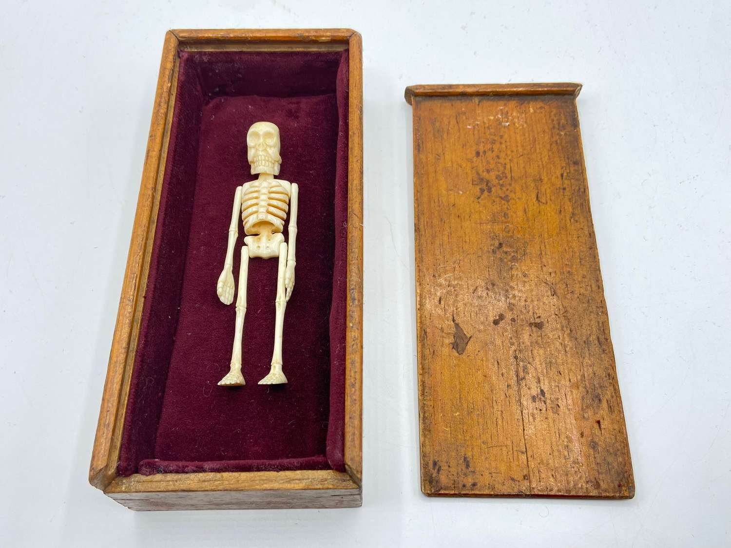 Antique Gothic Carved Articulated Skeleton In A Wooden Coffin