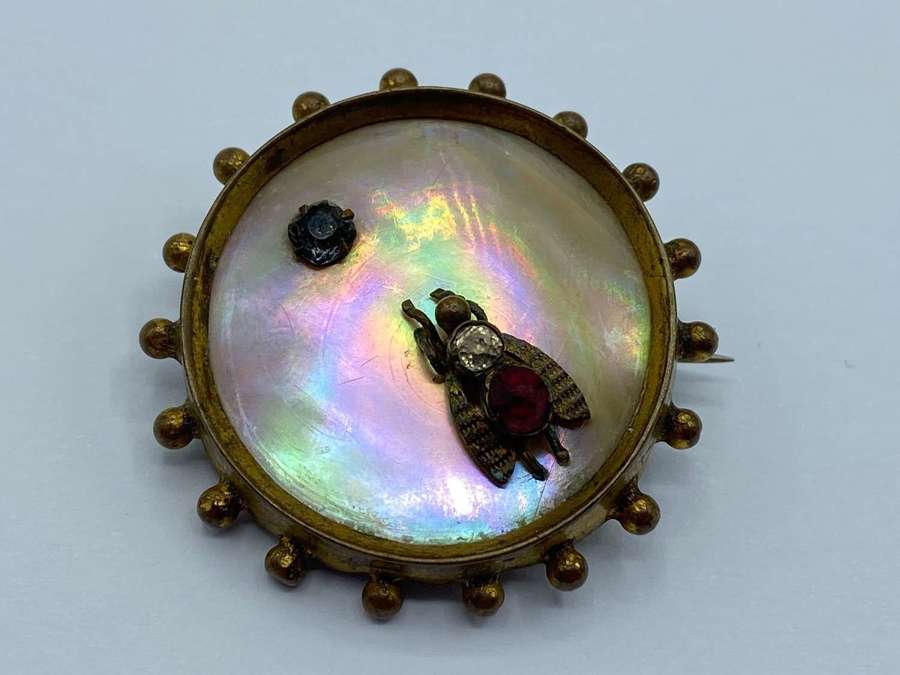 Antique Victorian Macabre Gilt Brass Mother Of Pearl Insect Fly Brooch