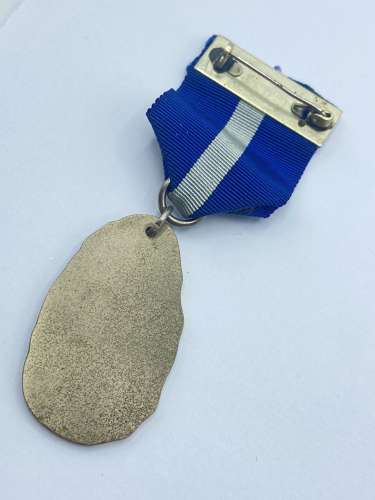 Vintage Royal Masonic Hospital Redevelopment Fund Jewel Plane Back
