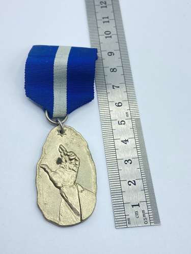 Vintage Royal Masonic Hospital Redevelopment Fund Jewel Plane Back