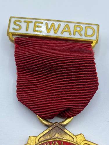 Vintage Royal Masonic Benevolent Institution Festival 1972 Jewel