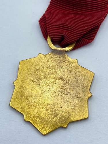 Vintage Royal Masonic Benevolent Institution Festival 1972 Jewel