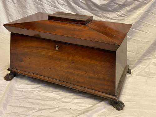 Antique Regency Huge Mahogany Tea Caddy Casket With Bronze Lion Feet