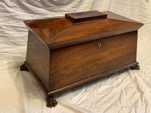 Antique Regency Huge Mahogany Tea Caddy Casket With Bronze Lion Feet