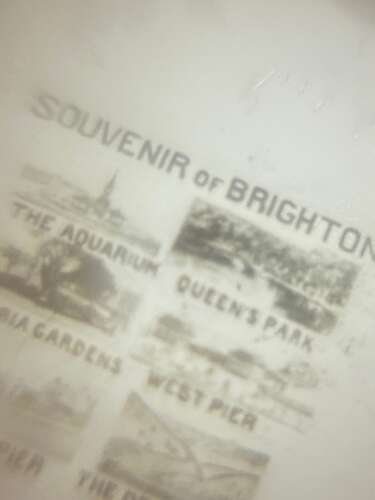 Antique Carved Bovine “Souvenir Of Brighton” Stanhope Propelling Pencil