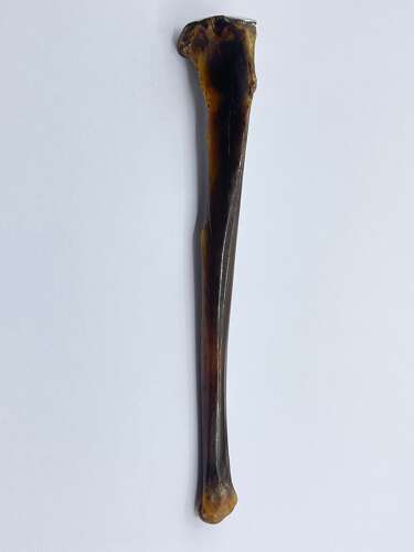 Antique Victorian Macabre Sterling Silver And Polished Bone Cigarette Holder