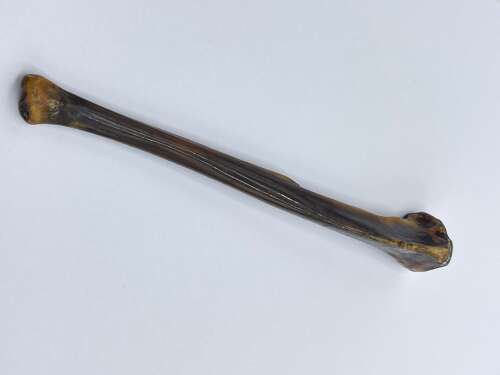 Antique Victorian Macabre Sterling Silver And Polished Bone Cigarette Holder