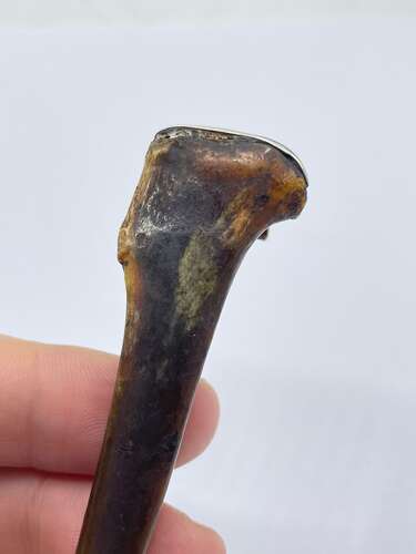 Antique Victorian Macabre Sterling Silver And Polished Bone Cigarette Holder