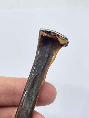 Antique Victorian Macabre Sterling Silver And Polished Bone Cigarette Holder