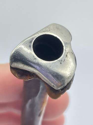 Antique Victorian Macabre Sterling Silver And Polished Bone Cigarette Holder