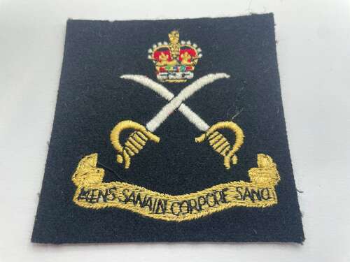 Post WW2 British Army Physical Training Corps Veterans Blazer Patch
