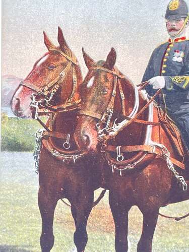 Pre WW1 Driver Royal Field Artillery & Gun Horse Review Order Postcard