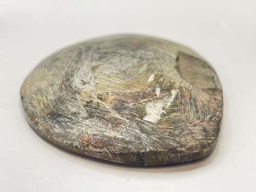 Devonian Period 380 Million Year Old Atlas Mountains Goniatite Fossil Matrix (5)