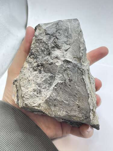 Beautiful 1.4kg Large Natural Quartz Matrix With Large Points